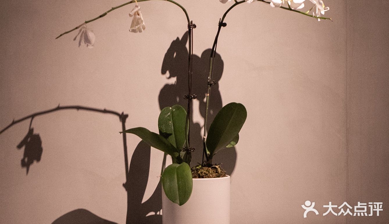 青田旅行｜本地人推荐的宝藏法餐