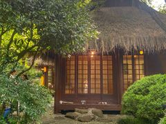 -中国茶叶博物馆(双峰馆区)