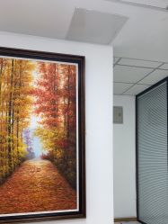 -薇兰专业脱毛连锁机构