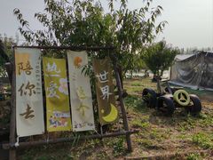 -西青郊野公园