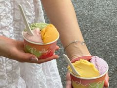 -Dip in Gelato(富民路店)