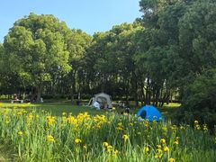 -贡湖湾湿地公园