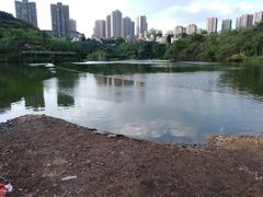-重庆彩云湖湿地公园