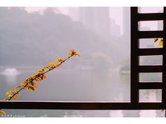 -重庆彩云湖湿地公园