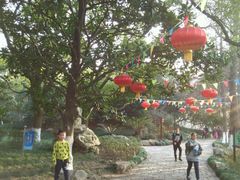 -瀛洲公园