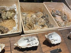 -普朗姆生蚝吧(原建国路店)