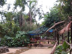 -海南热带野生动植物园