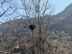 -秦岭终南山世界地质公园翠华山景区