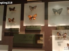 -上海昆虫博物馆