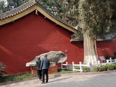 -武侯墓风景区