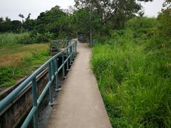 -南丫岛