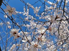 -滨河世纪广场公园