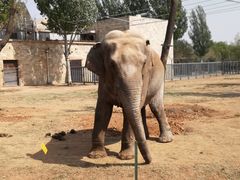 -石家庄市动物园