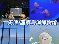 -贝林大翅鲸简餐厅(国家海洋博物馆店)