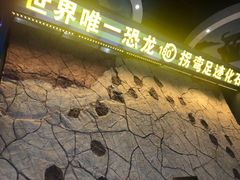 -诸城市恐龙博物馆