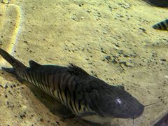 -江和美海洋公园