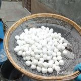 赵县：最后的手工元宵