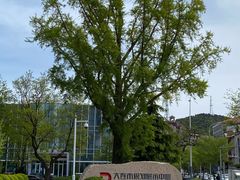 -大连市规划展示中心