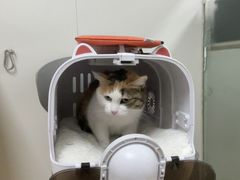 -宠颐生中康贝怡动物医院