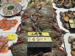 -渔娘渔家丹东海鲜(东直门店)