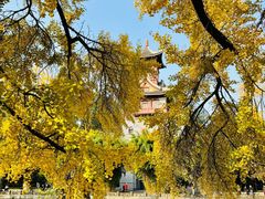 -四川大学(华西校区)