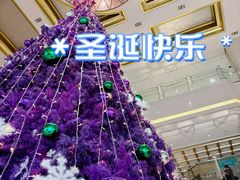 -百富怡大酒店