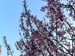 -西北湖绿化广场