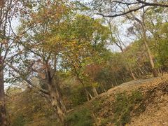 -南京市无想山景区