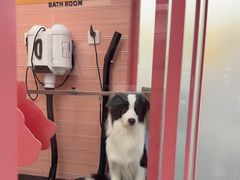 -FAELING PETS美天灵宠物(合生汇店)