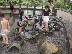-成都市活水公园