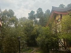 -庐山风景名胜区-东林大佛