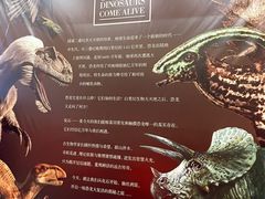 -松江科技馆