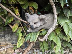 -慢丽江·云南野生菌土鸡锅(西山店)