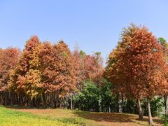 -厦门园林博览苑
