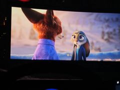 -枫花园汽车电影院(朝阳公园店)