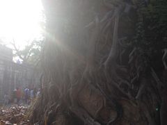 -胡里山炮台