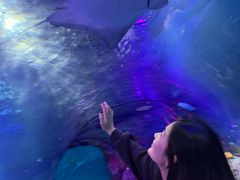 -沈阳海洋探索中心