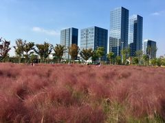 -九里河湿地公园