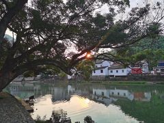 -鹿亭中村