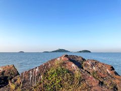 -上海市保健医疗中心