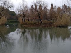 -青枫公园