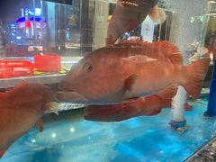 -舌尖上·霞浦滩涂海鲜·新闽菜(总店)