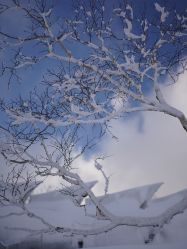 -大秃顶子山