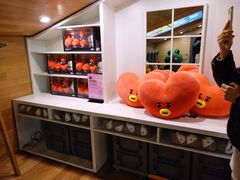 -line friends(明洞旗舰店)