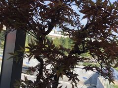 景观位-胜博殿日式炸猪排(西红门店)