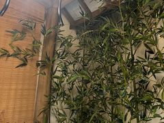 包房-乾园(天河城店)