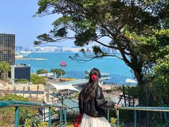 -曲奇童话(尖沙咀店)