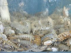-渔民船说·北塘海鲜·天津菜·海肠捞饭(北塘古镇店)