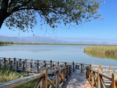 -野鸭湖国家湿地公园