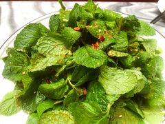 -蔼若春.传承云南菜(金碧公园店)